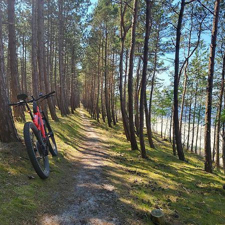 Domki Skowronki Kąty Rybackie Exteriör bild