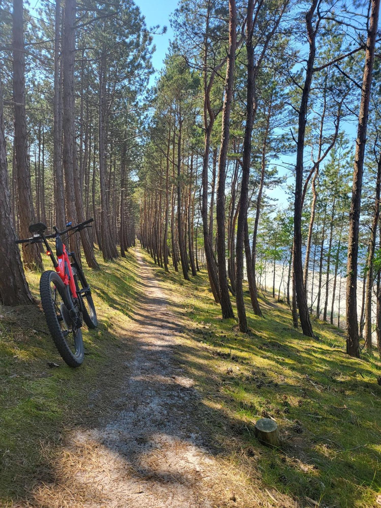 Domki Skowronki Kąty Rybackie Exteriör bild